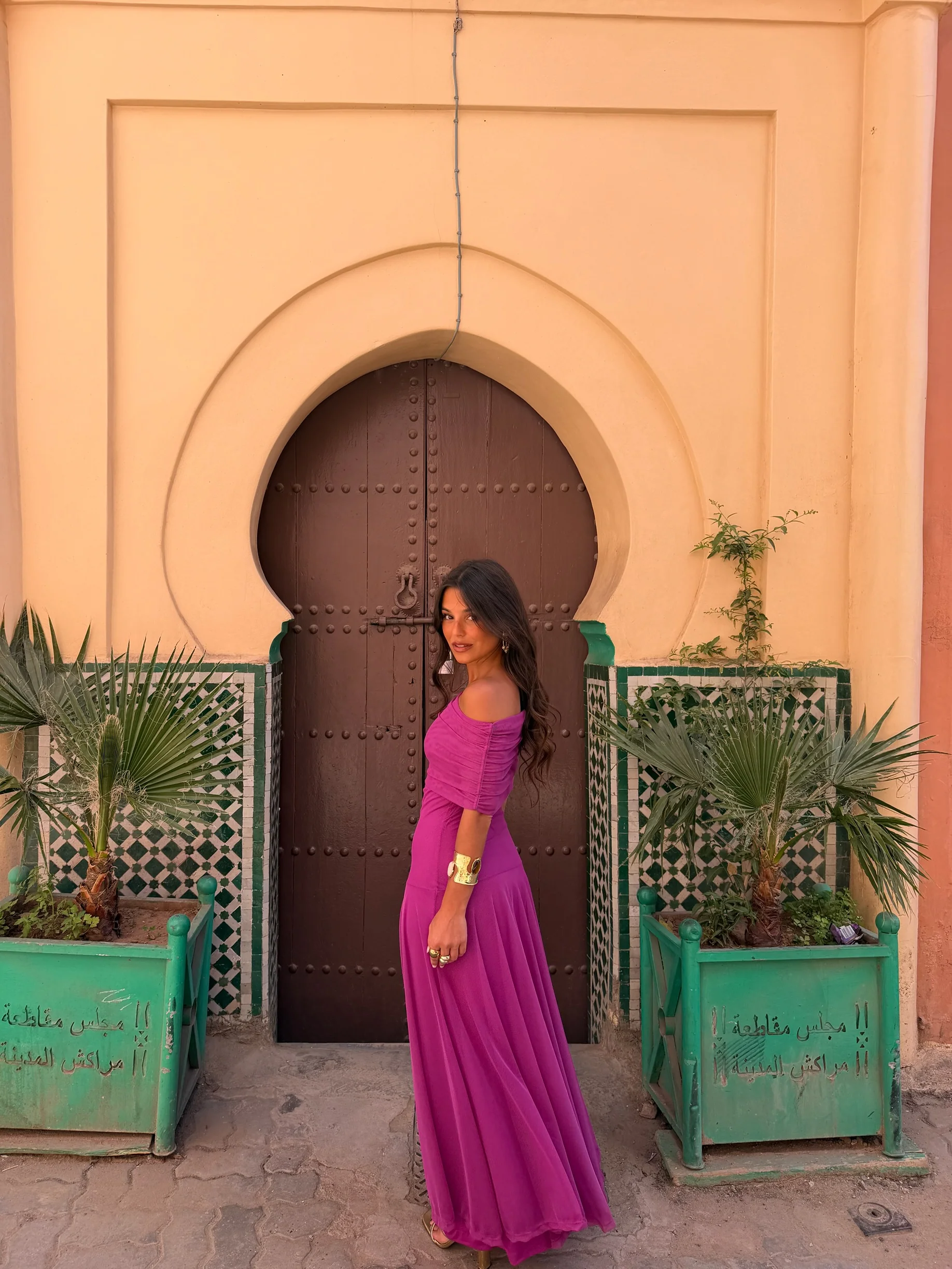 Toledo Dress in Fuxia - Pre-Order - Image 6