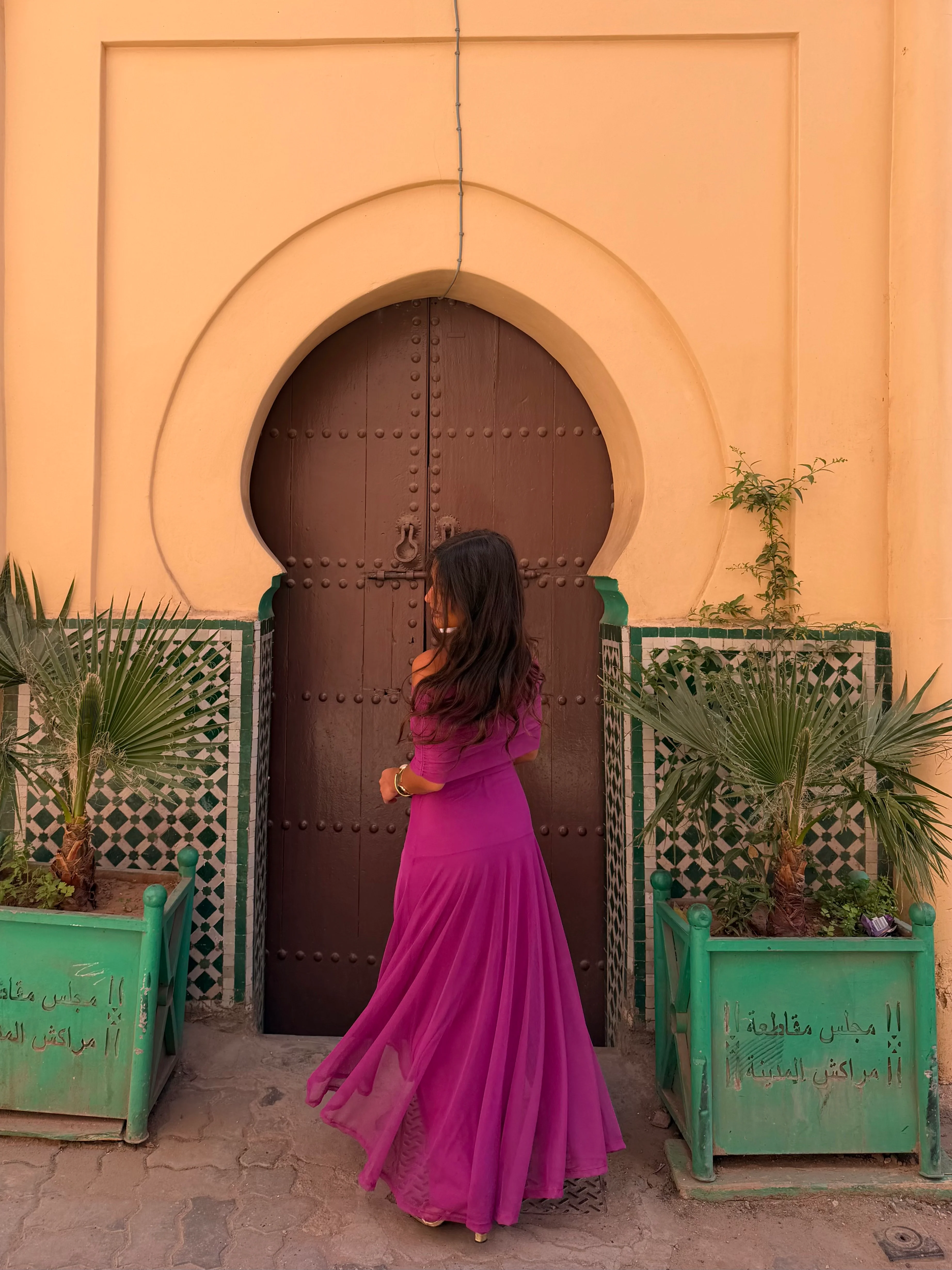 Toledo Dress in Fuxia - Pre-Order - Image 8