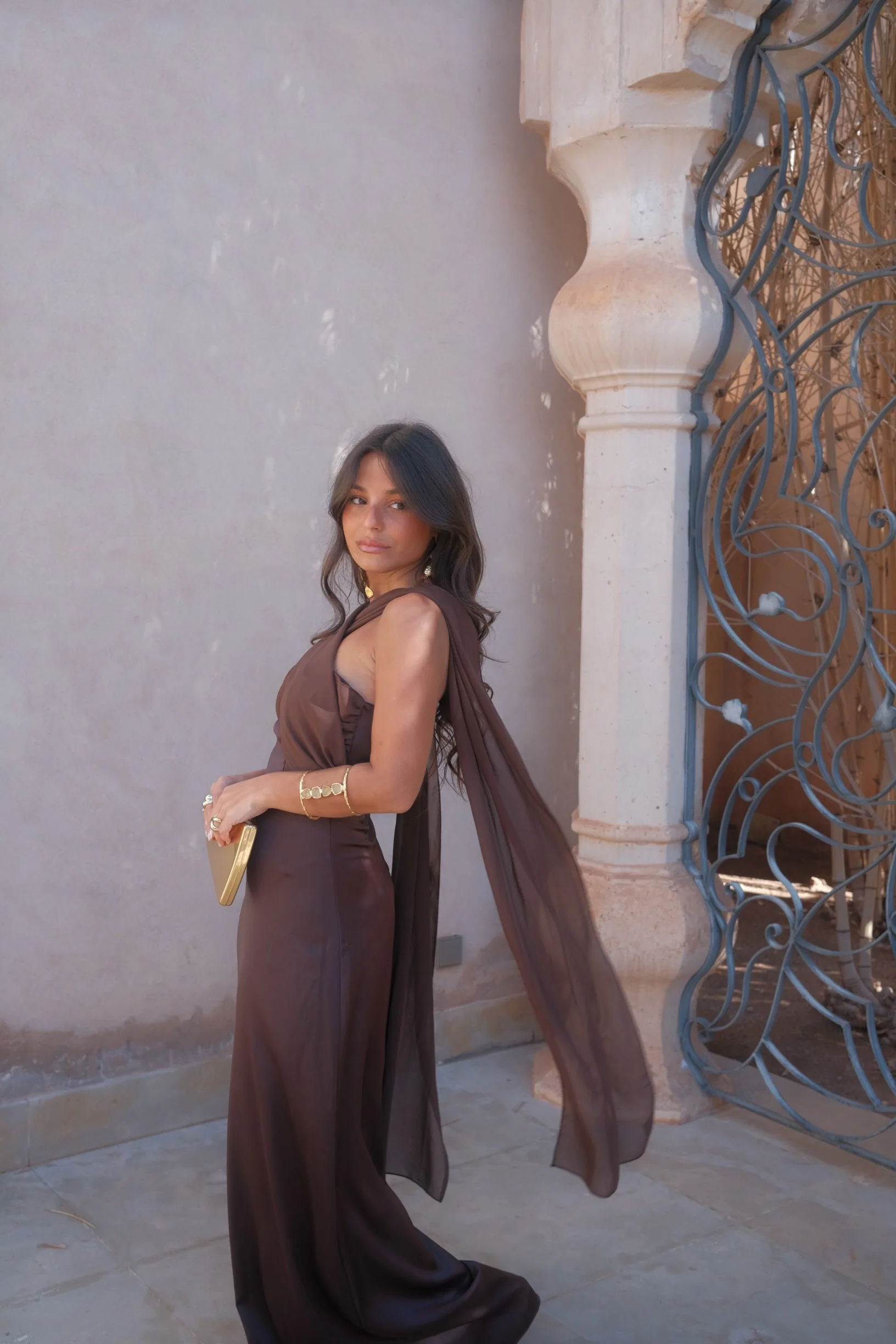 Triana Dress in Brown - Image 3